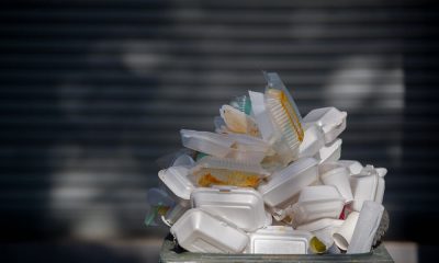 Is Styrofoam Recyclable Guide To Disposal And Environmental Impact